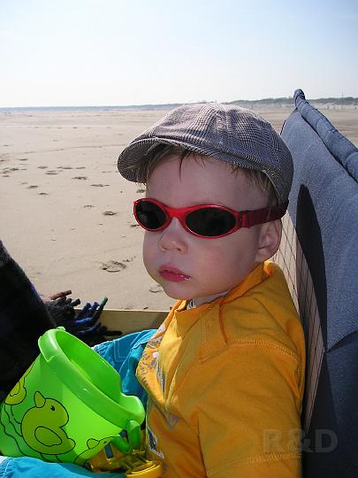 Imme 3 mei 2008 (6).JPG